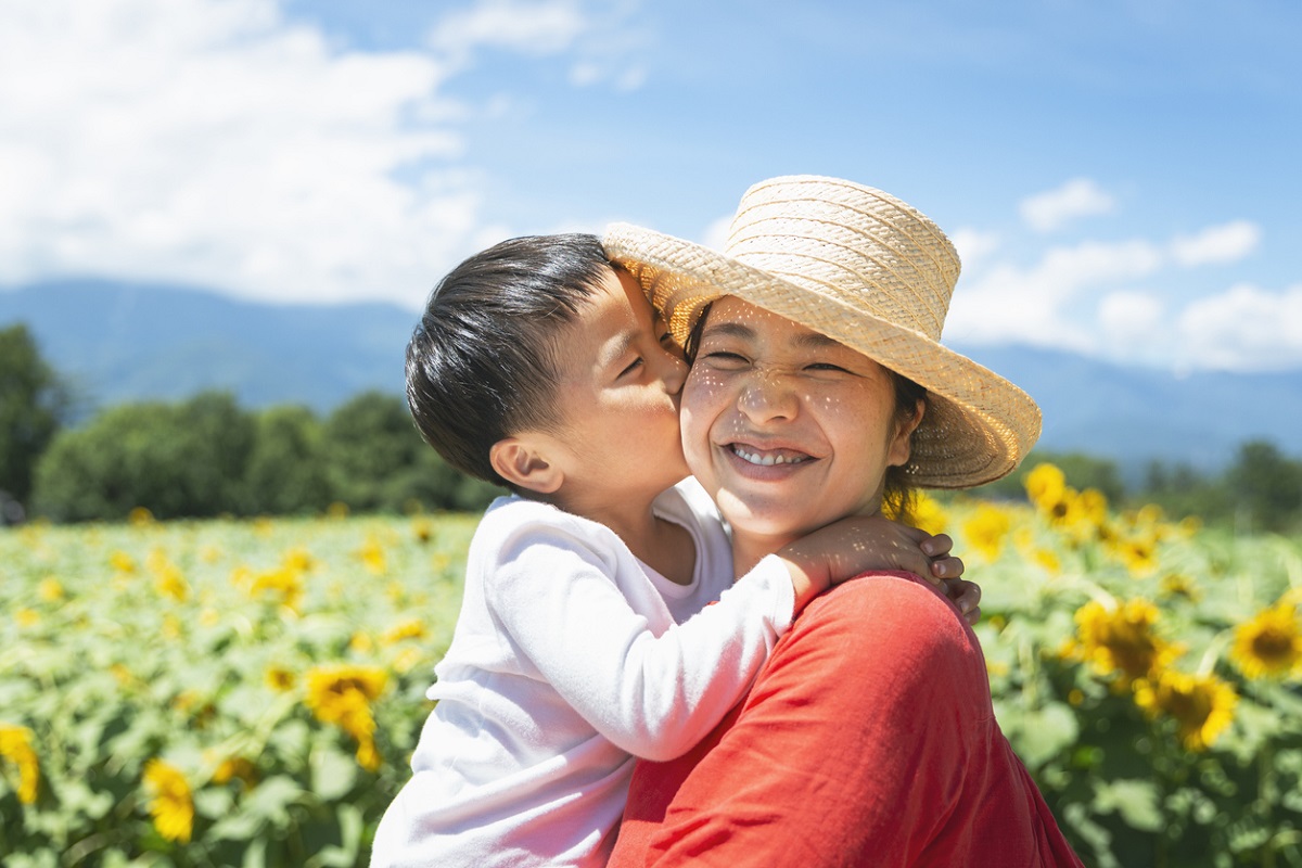 Sunflower Festivals and Fields for SeattleArea Families ParentMap
